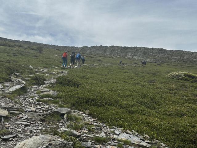 Este verano podrás hacer una treintena actividades dentro del programa ‘Vive tu Espacio’