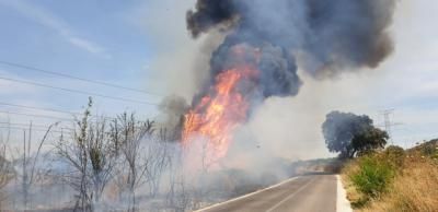 CAZALEGAS | Lunes negro: fotos del incendio junto al embalse