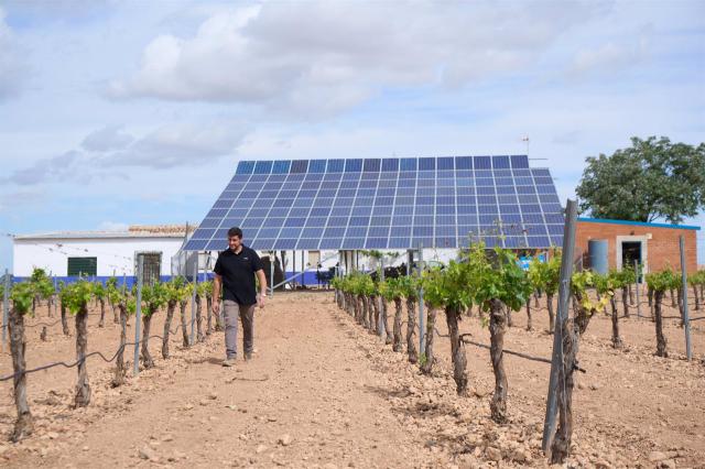 Sondas, goteo y tecnología los aliados para hacer frente a la sequía en CLM