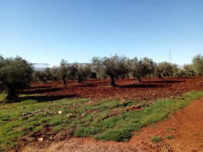 REGIÓN | Millones a la agricultura ecológica