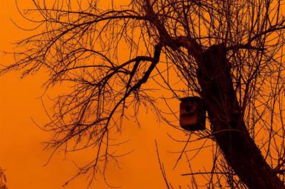 Un municipio de la provincia de Toledo en alerta por mala calidad del aire