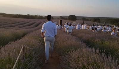 El cultivo de las aromáticas como fuente de riqueza en la Alcarria