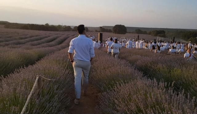 El Festival de la Lavanda cumple su séptima edición este año.