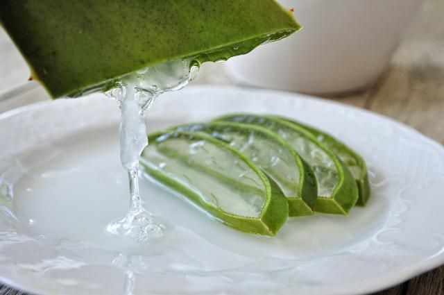 SALUD | El Aloe Vera será tu mayor aliado