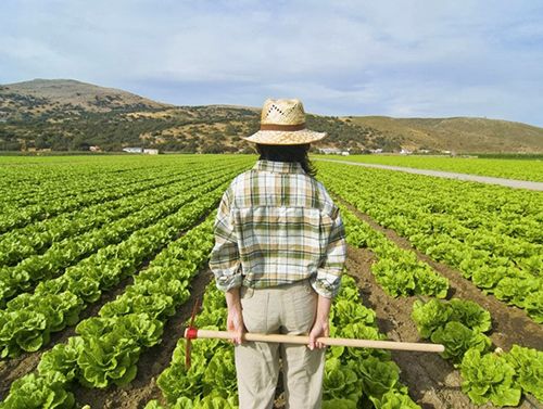 FADEMUR pide facilidades para las emprendedoras rurales