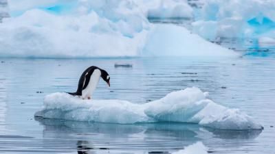 Nuevo récord de temperatura en la Antártida