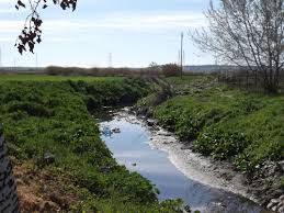 Este río se ha desbordado en Yeles.