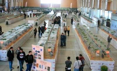 Concluye en Talavera Ferial el XI Campeonato de España de Avicultura