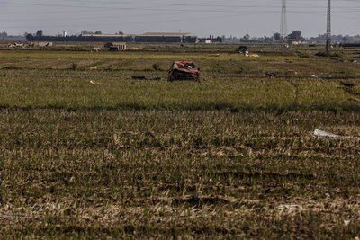 Abierto el plazo para solicitar ayudas destinadas a explotaciones agrarias afectadas por la DANA