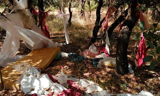 ERES ESENCIAL | El fuego no se va de vacaciones: ¡No bajes la guardia y extrema las precauciones!