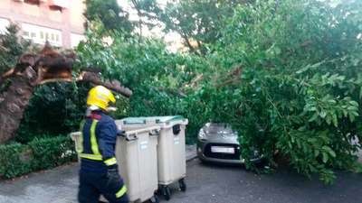 Caen dos árboles, uno sobre un coche, en Talavera