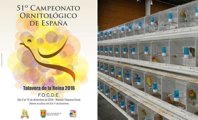 Talavera acogerá cuatro años más el Campeonato Ornitológico de España