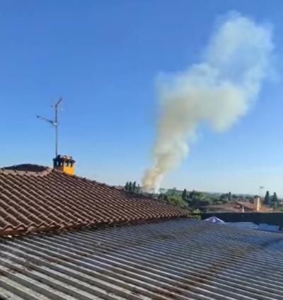 Extinguido el incendio forestal de Cazalegas