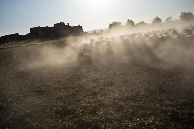 El Gobierno regional inaugura el miércoles la muestra fotográfica ‘Miguel de Cervantes o el deseo de vivir’