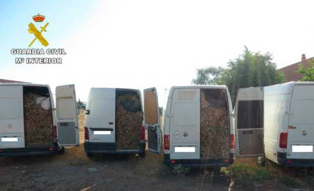 Ocho detenidos por sustraer 13.000 kilos de ajos en Casas de Haro (Cuenca) valorados en 19.500 euros