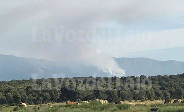 Declarado un importante incendio en el Hornillo (Ávila)