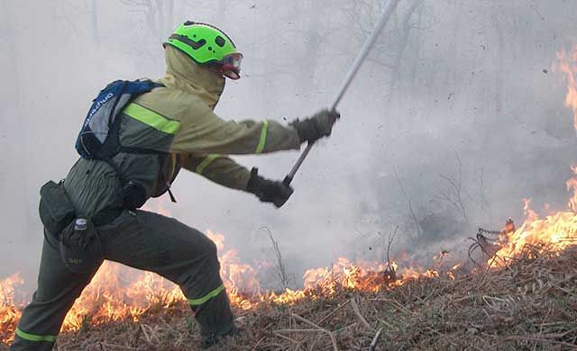 Imagen de archivo de un incendio forestal 