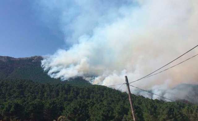 El fuego de Yeste, con 100 hectáreas arrasadas, cuenta con indicios de haber sido provocado