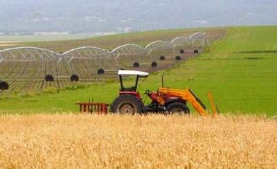 Destinan 7,54 millones en ayudas para la incorporación de 262 jóvenes agricultores en la provincia de Toledo