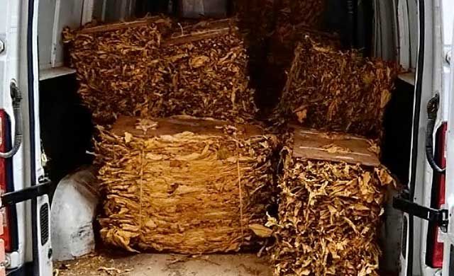 Incautan 7.500 kilos de hoja de tabaco valorados en 1,8 millones