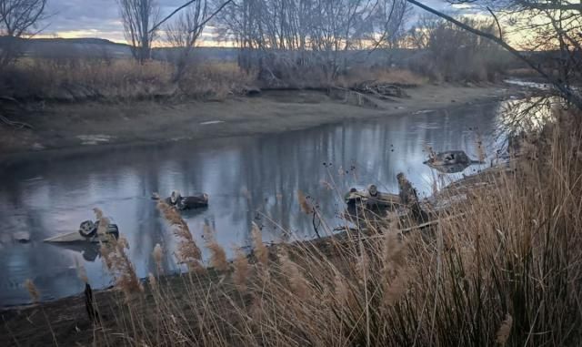 Un cementerio de coches, mesas y vacas muertas aparece en el Tajo