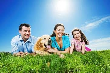 Consejos para disfrutar de unas buenas vacaciones con tu mascota