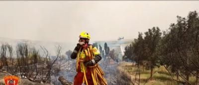 Controlan un incendio en la localidad toledana de Carpio de Tajo