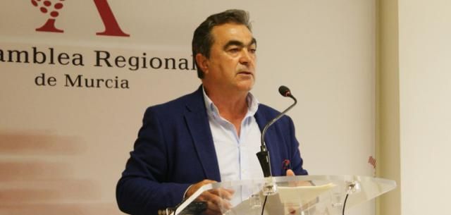 El diputado del PSOE de Murcia, Jesús Navarro