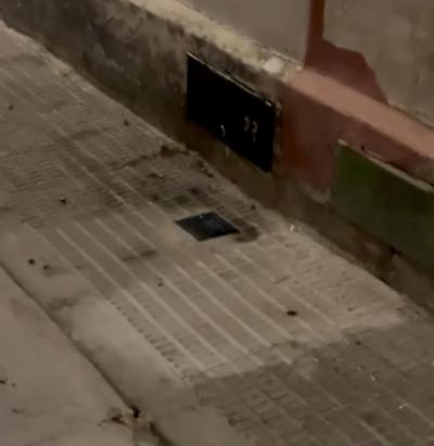 Una plaga de cucarachas se apodera de las alcantarillas en esta calle de Talavera