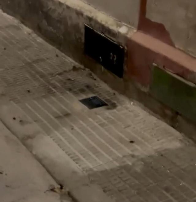 Una plaga de cucarachas se apodera de las alcantarillas en esta calle de Talavera