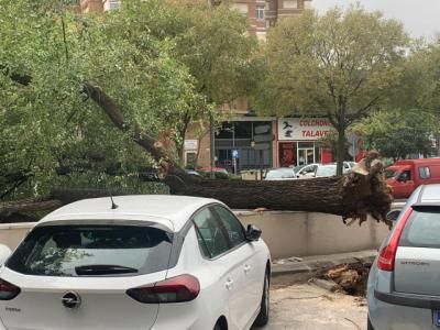 TALAVERA | Así están siendo las primeras horas de la borrasca Alex (fotos)