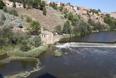 La plataforma de Toledo en Defensa del Tajo vuelve a manifestarse