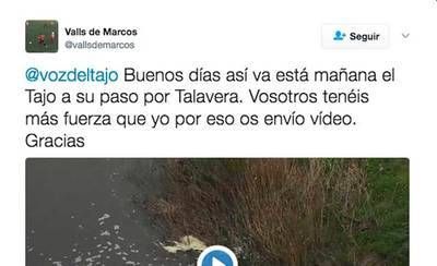 Nueva denuncia sobre el estado del Tajo a su paso por Talavera