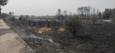 Incendio en Talavera: así ha quedado el terreno tras el paso de las llamas