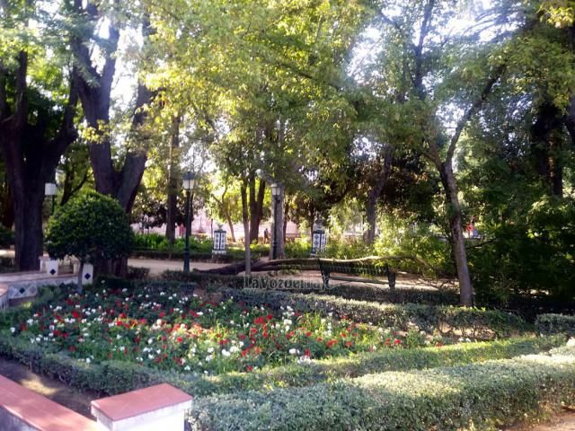 Comienzan los trabajos previos para la rehabilitación integral de los Jardines del Prado