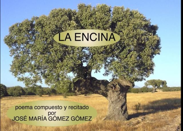 VIDEOPOEMA | 'LA ENCINA', por José María Gómez