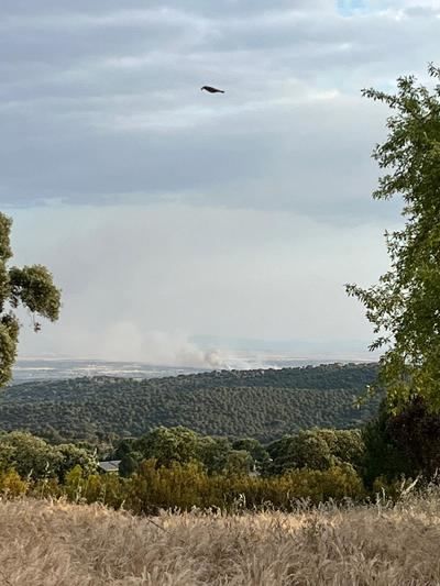 Prohibido el baño en el Alberche a su paso por Escalona por “posible contaminación”