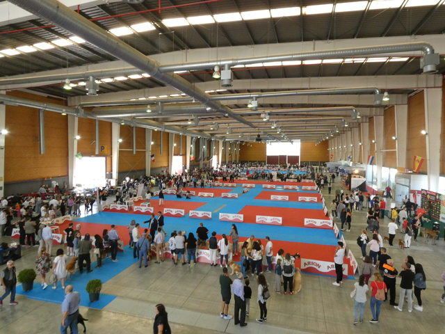 No te pierdas la exposición Nacional e Internacional Canina este fin de semana