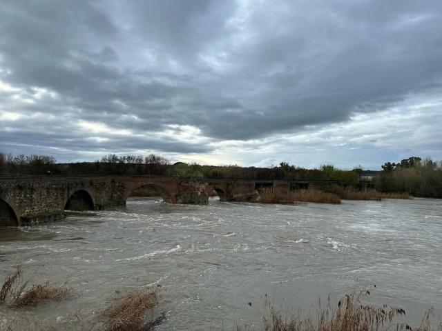 Río Tajo a su paso por Talavera 