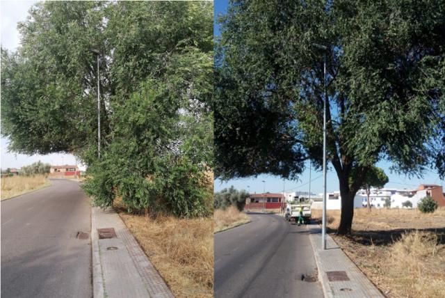 TALAVERA | Finaliza el desbroce de la vía de acceso al barrio de El Paredón