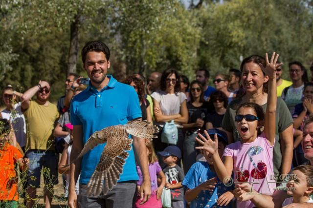 Día de las Aves en Los Sifones