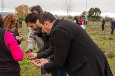 ‘Bellotada’ de Talavera La Nueva