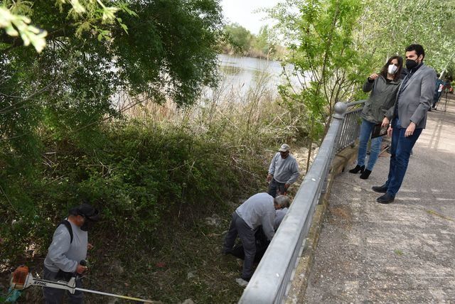 MOSQUITOS | Talavera adelanta dos meses los trabajos para prevenir la aparición de plagas