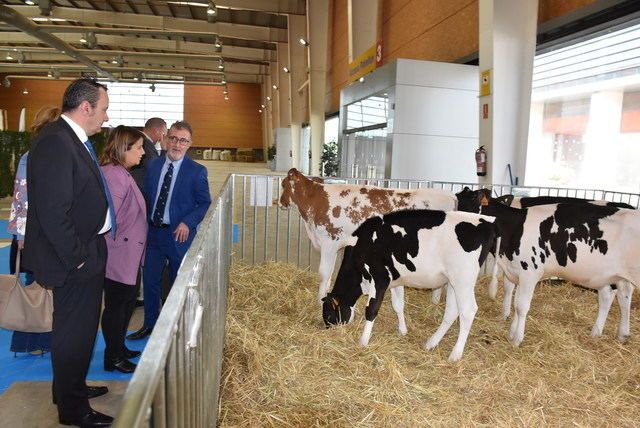 Así ha sido la inauguración del Open de Ganado Frisón