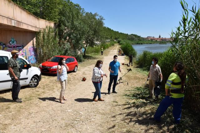 TALAVERA | Desbroce y nuevas fumigaciones para luchar contra los mosquitos