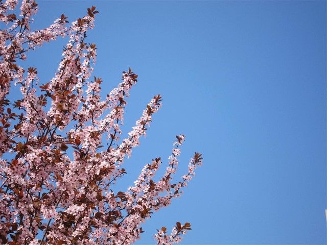 Fin de semana primaveral con subida de temperaturas