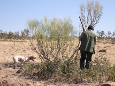 Publicados los precios para obtener los permisos de caza en la región