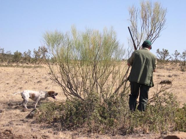 Un menor de 12 años fue el autor del disparo a un hombre en el pecho en una cacería