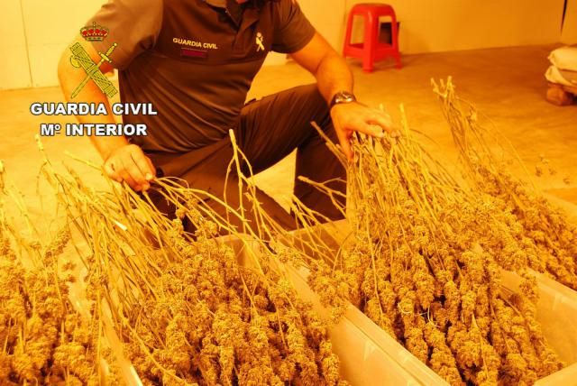 Incautan 44 kilos de marihuana y detiene a dos personas en Fuentenovilla