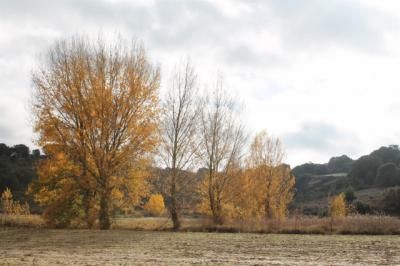 Noviembre llega con temperaturas otoñales en el Puente de Todos los Santos